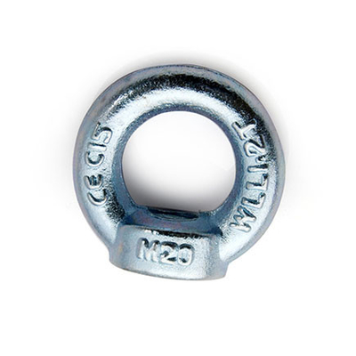 DIN582 Eye Nut, Lifting nut supplier