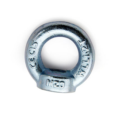DIN582 Eye Nut, Lifting nut supplier