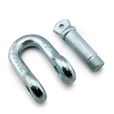 G210 Drop Forged US Type Dee Shackle with Screw Pin supplier