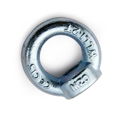 DIN582 Eye Nut, Lifting nut supplier